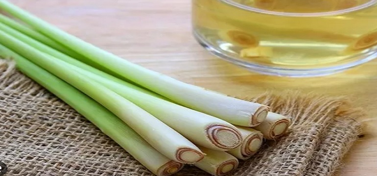 Kandungan Nutrisi dan Manfaat Sereh untuk Kesehatan Tubuh