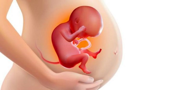 3 Fase Perkembangan Janin Menurut Islam, Bunda Perlu Tahu