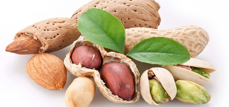 6 Manfaat Kacang Hazelnut bagi Kesehatan
