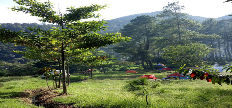 Senangnya Berkemah di Gunung Puntang dengan Panorama Indah dan Udara Segar