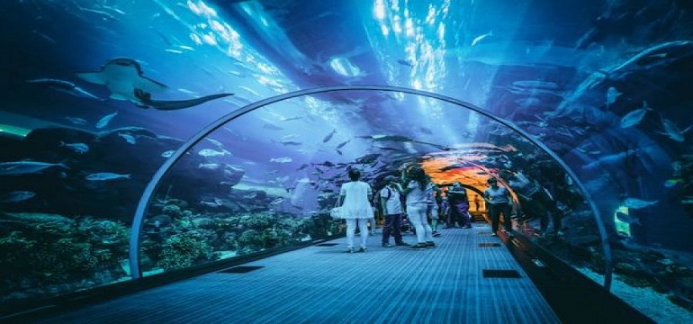 Tempat Wisata Edukasi di Jakarta Yang Wajib di Kunjungi