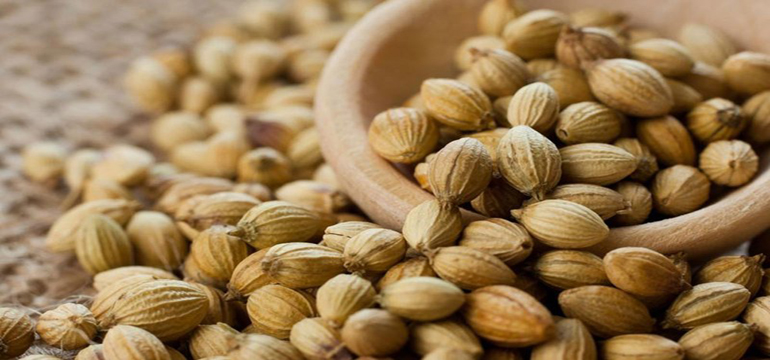 5 Manfaat Kapulaga Ini Bisa Bantu Atasi Berbagai Masalah Kesehatan