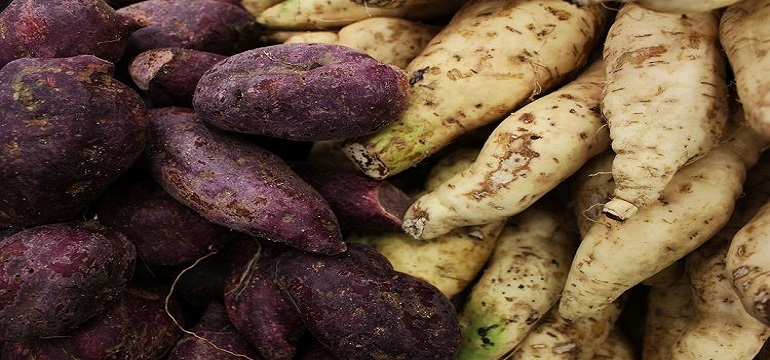 Menarik! Sikapi Kenaikan Harga Bahan Pokok, KSP Ajak Warga Indonesia Makan Singkong, Ubi, dan Porang