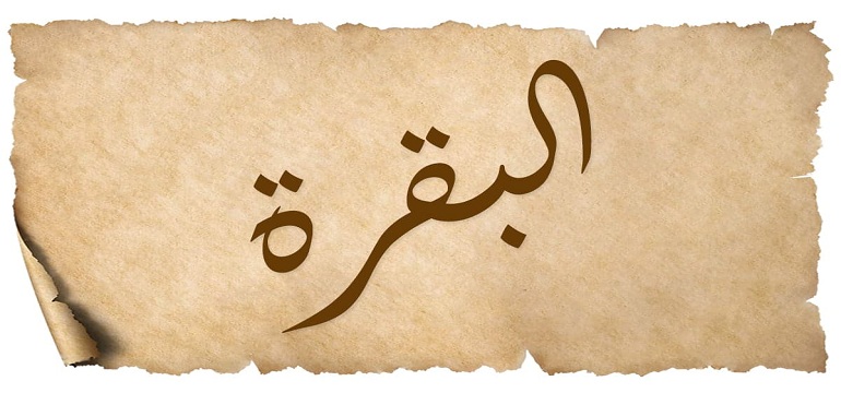 7ef4d7de7e683b77.jpg
