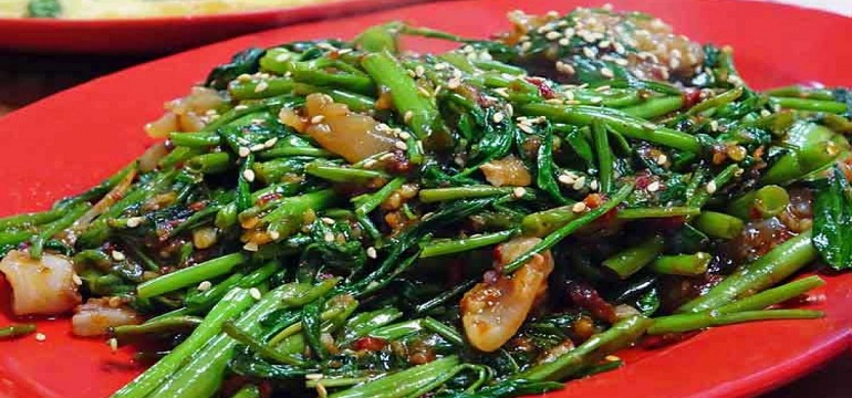 Perbedaan Kangkung Darat dan Air Manfaat Kangkung untuk Kesehatan