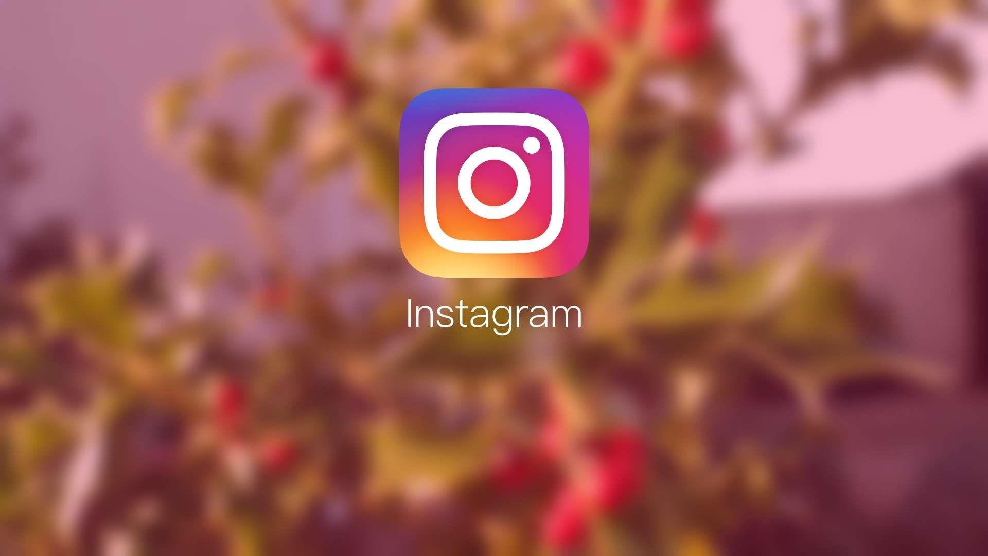 Meningkatkan Popularitas Akun Instagram Anda dengan Jasa Followers Instagram Tertarget dari Rajakomen.com