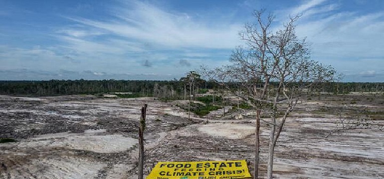 Proyek Food Estate Gagal Hanya Berdampak Buruk Terhadap Lingkungan