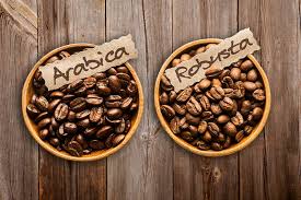 Bedanya Kopi Arabika dan Robusta: Rasa dan Asal Usul