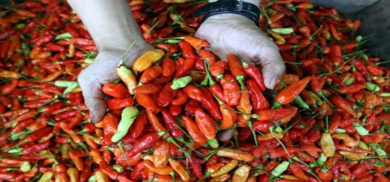 Harga Pangan Kompak Naik Per 1 Maret 2023 Termasuk Cabe dan Beras